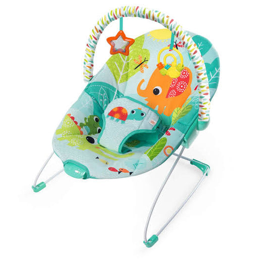Baby Bouncer Seat